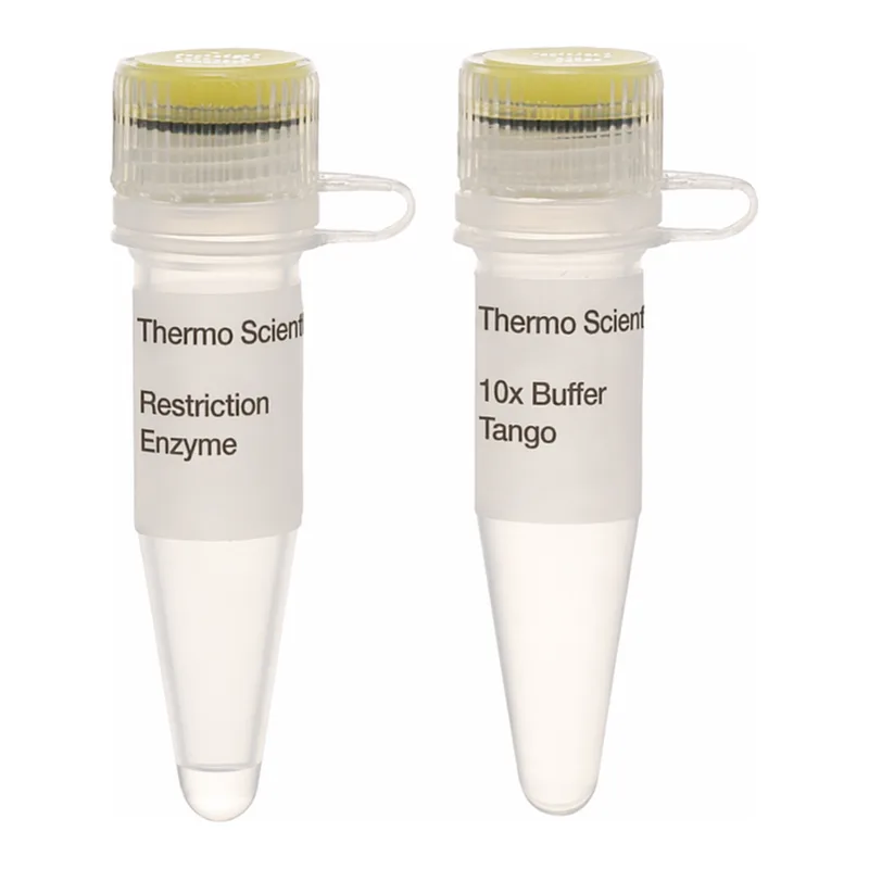 Thermo Fisher Scientific AatII (10 U/μL), 300 units