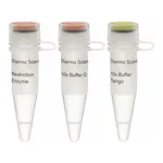 Thermo Fisher Scientific BglI (10 U/μL), 2,000 units