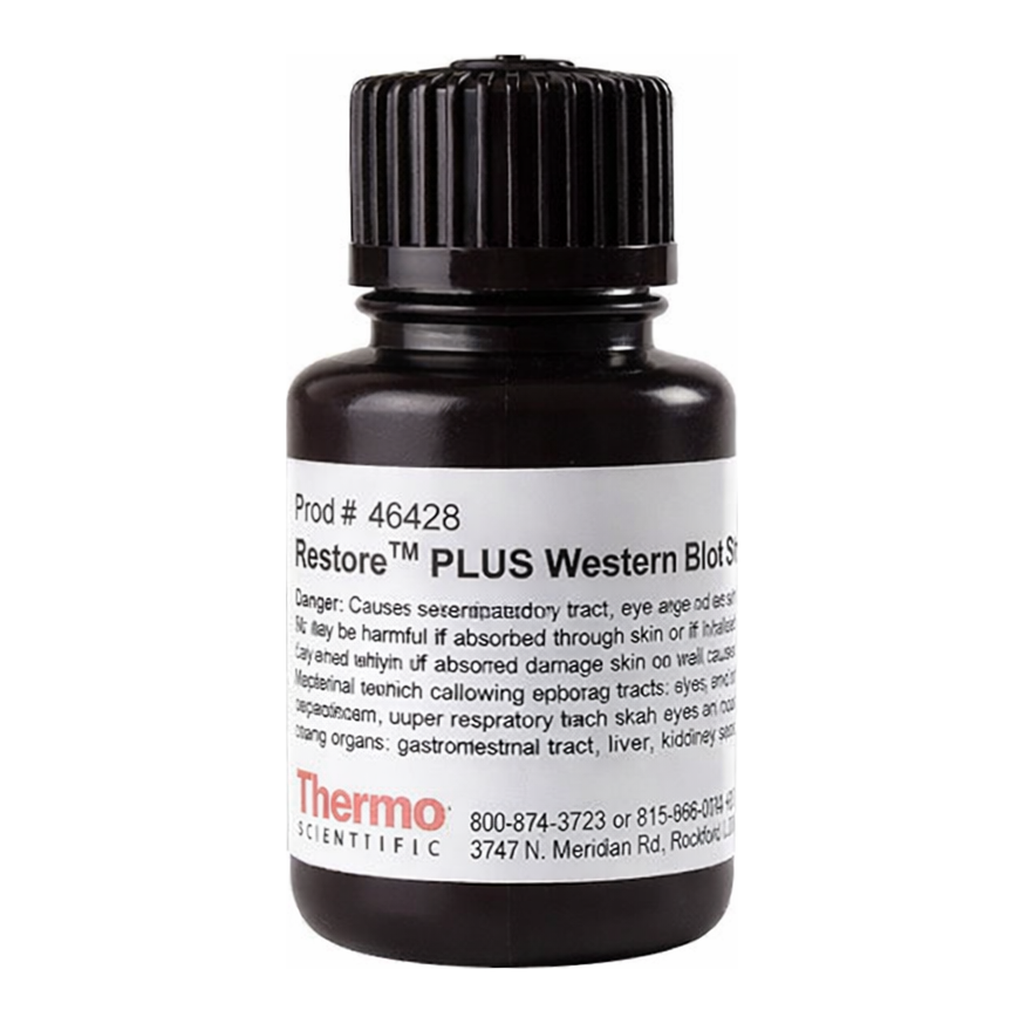 Thermo Fisher Scientific Restore PLUS Western Blot Stripping Buffer, 30 mL