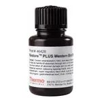 Thermo Fisher Scientific Restore PLUS Western Blot Stripping Buffer, 30 mL