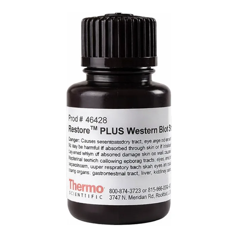 Thermo Fisher Scientific Restore PLUS Western Blot Stripping Buffer, 30 mL
