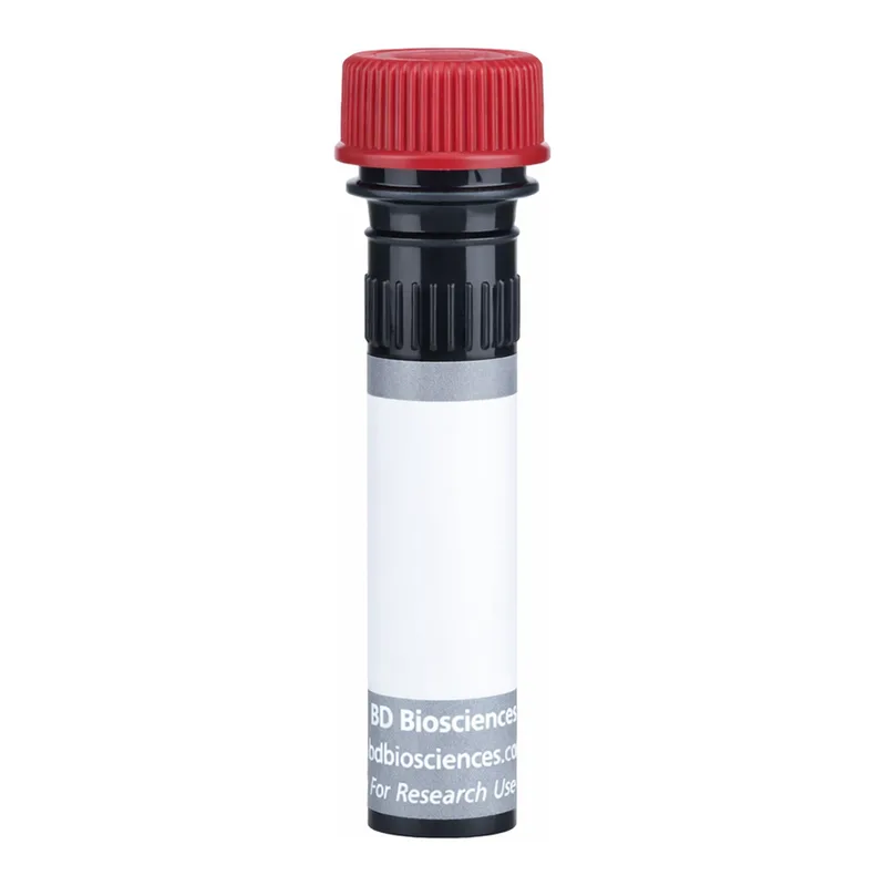 BD BUV805 Rat Anti-Mouse Ig, κ light chain