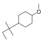 Merck 1-METHOXY-4-(TERT.-PENTYL)-CYCLO-