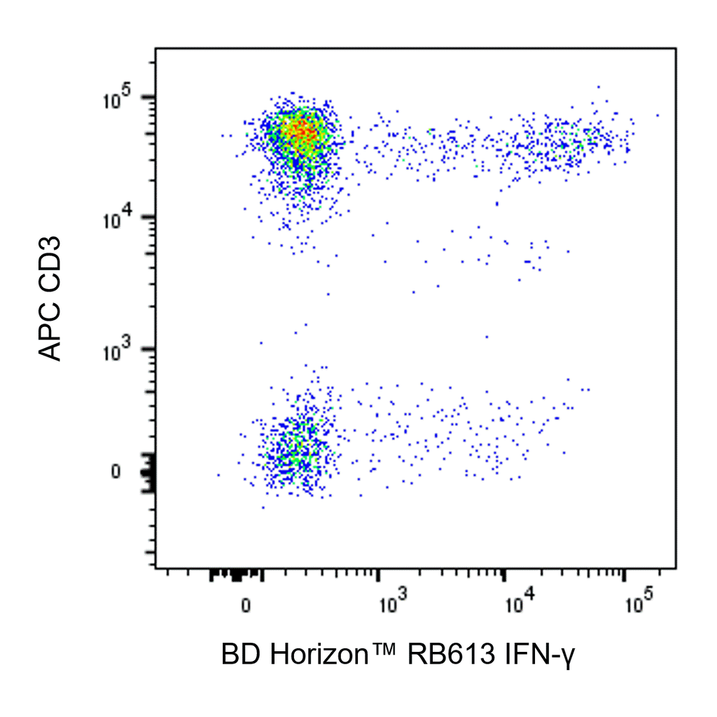 BD RB613 Mouse Anti-Human IFN-γ