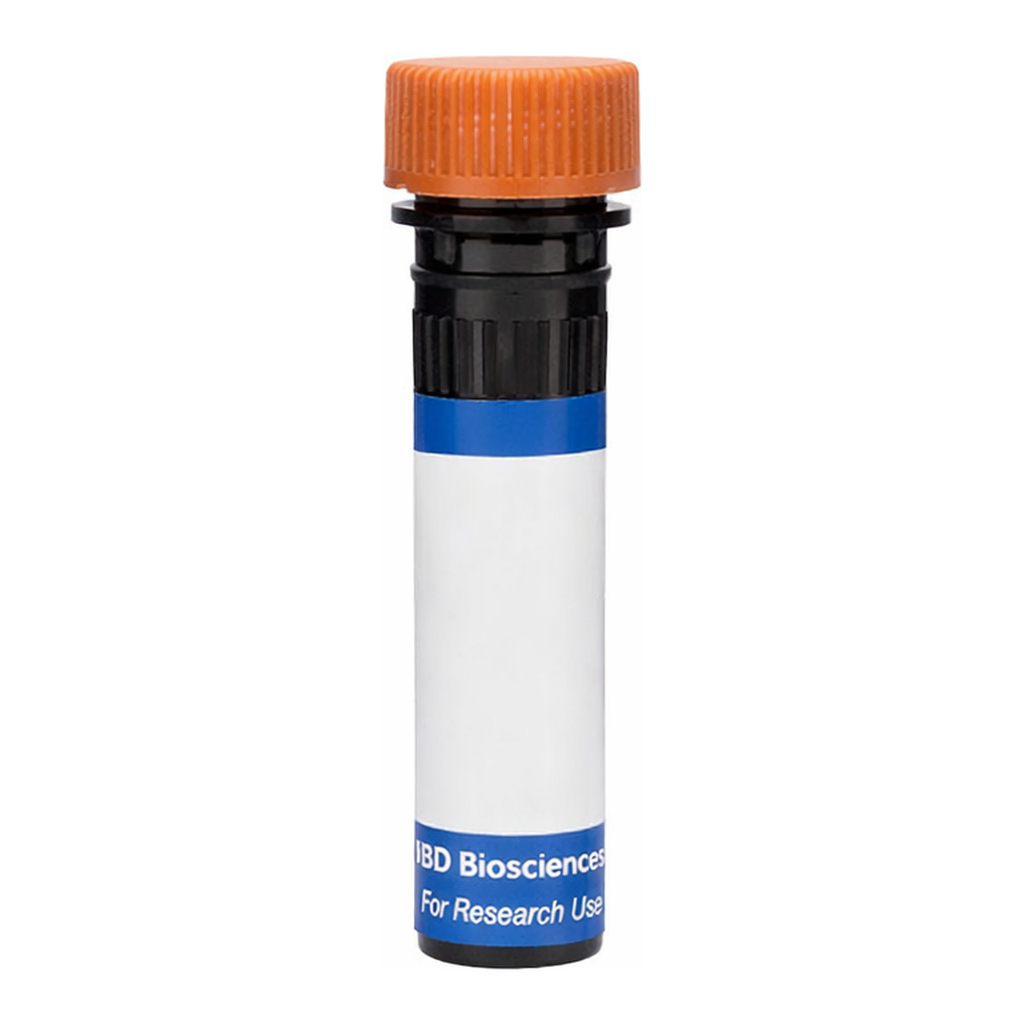 BD RB613 Biosimilar Anti-Human EGFR
