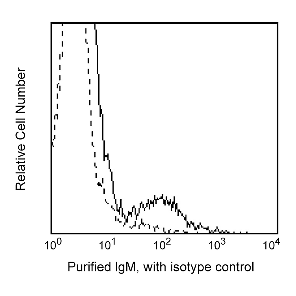 BD Purified Mouse Anti-Human IgM