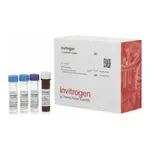 Thermo Fisher Scientific Human Renin ProcartaPlex Simplex Kit