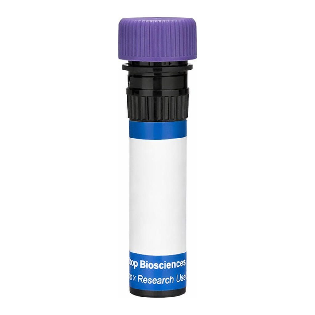 BD RB744 Mouse Anti-Rat γδ T-Cell Receptor