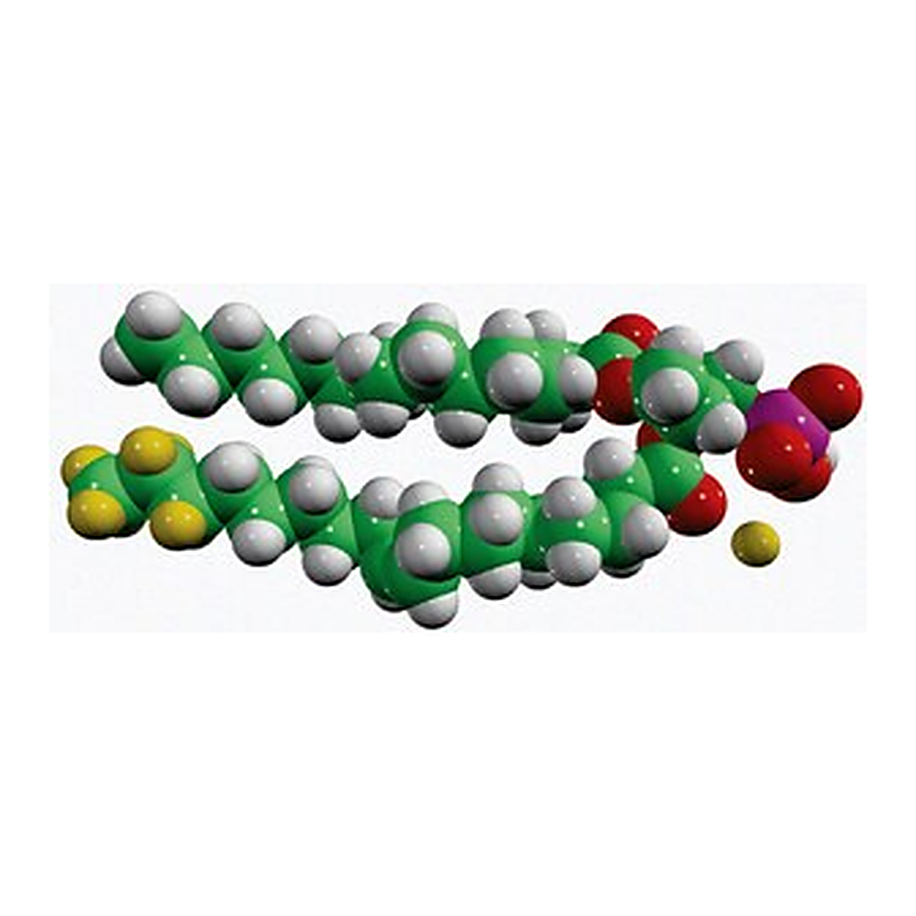 Merck 15:0-18:1-D7-PA