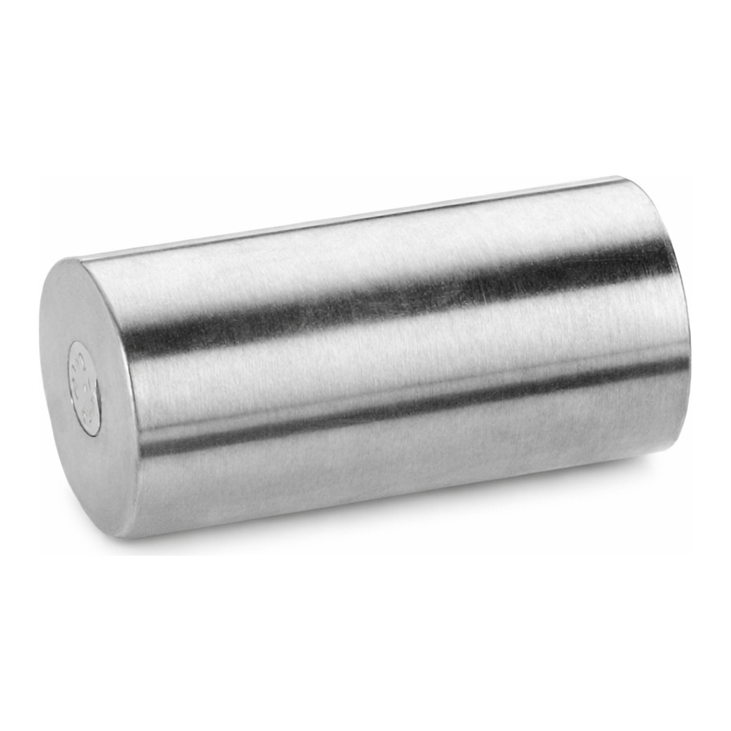 Waters XSelect HSS T3 Sentry Guard Cartridge, 100Å, 3.5 µm, 2.1 mm X 10 mm, 2/pk