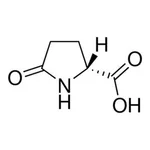Merck (R)-(+)-2-PYRROLIDONE-5-CARBOXYLIC ACID&