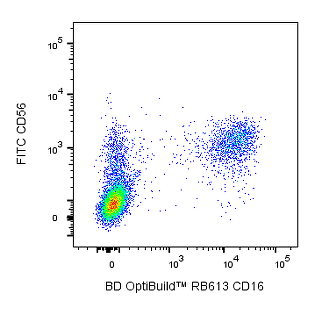 BD RB613 Mouse Anti-Human CD16