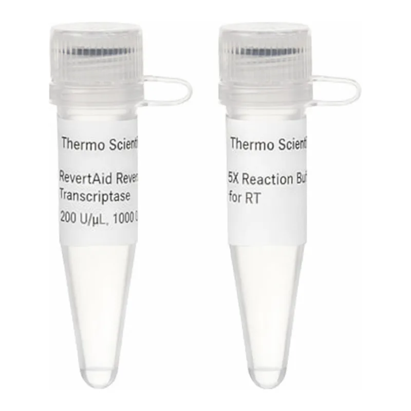 Thermo Fisher Scientific RevertAid Reverse Transcriptase (200 U/μL), 10,000 Units