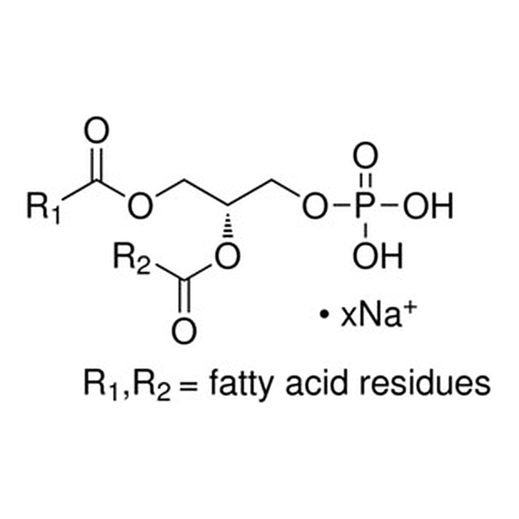 Merck L-A-PHOSPHATIDIC ACID SODIUM FROM EGG  &