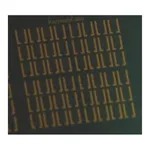Merck Interdigitated Chip