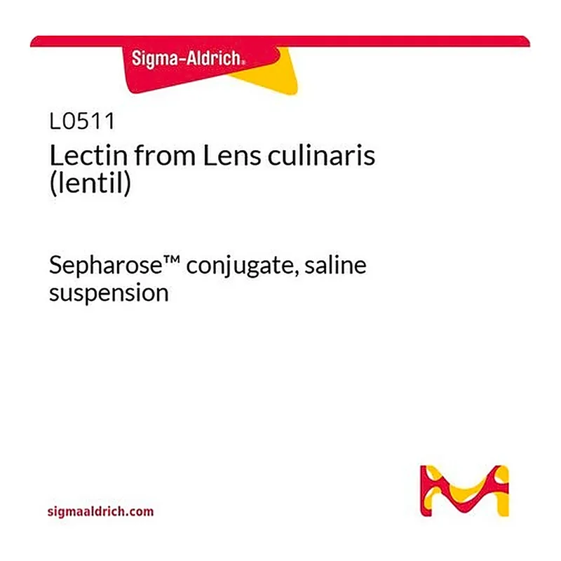 Merck Lectin from Lens culinaris (lentil)
