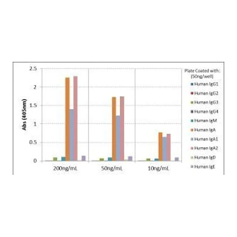 Thermo Fisher Scientific Rabbit anti-Human IgA1/IgA2 Recombinant Secondary Antibody, Biotin