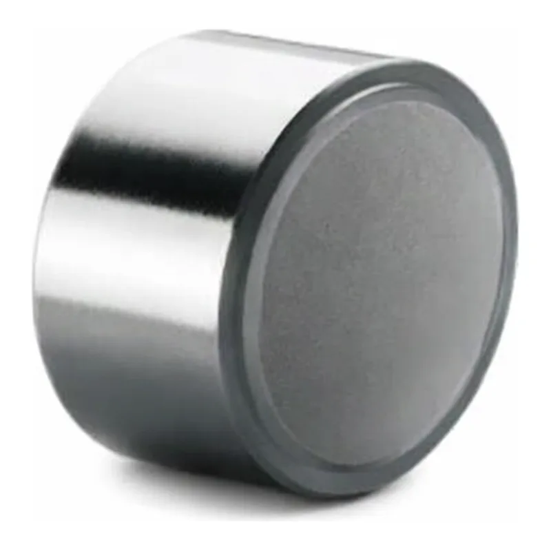 Waters XTerra Shield RP18 Prep Guard Cartridge, 125Å, 10 µm, 19 mm X 10 mm, 1/pk