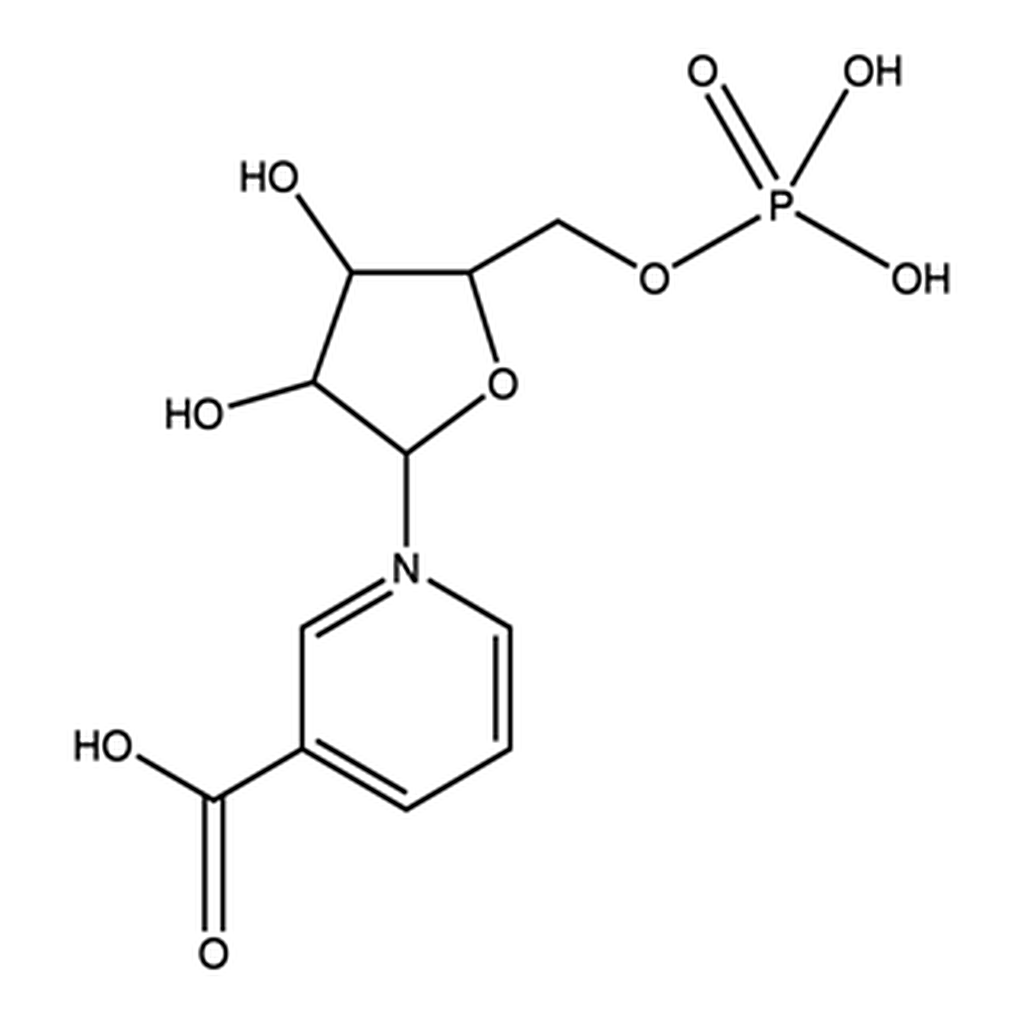 Merck NICOTINIC ACID MONONUCLEOTIDE