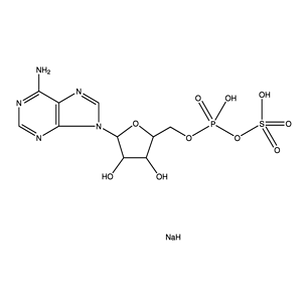 Merck ADENOSINE 5``-PHOSPHOSULFATE SODIUM SALT&