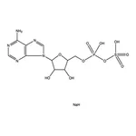Merck ADENOSINE 5``-PHOSPHOSULFATE SODIUM SALT&