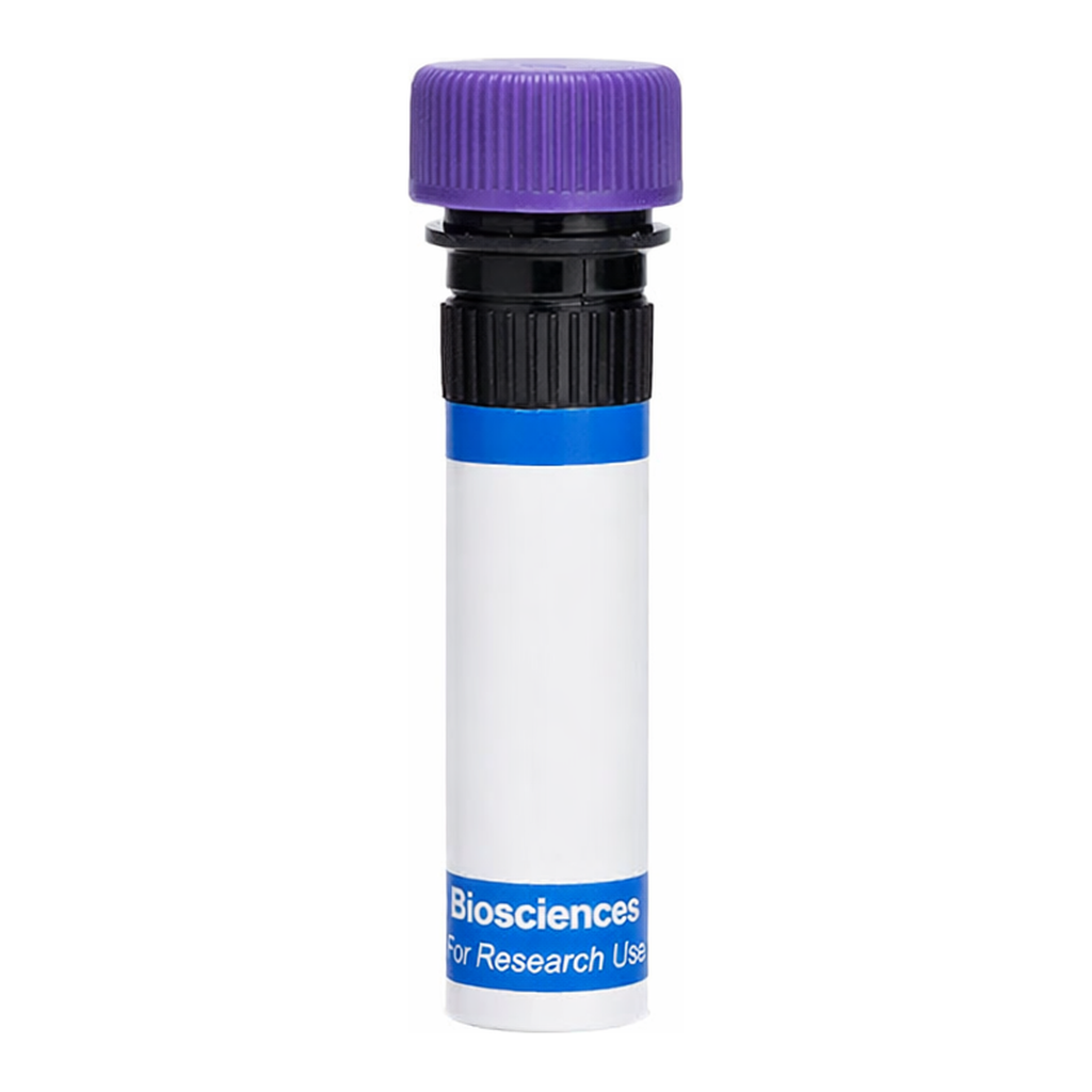 BD RB744 Mouse Anti-Human BLTR-1 (Leukotriene B4 Receptor)