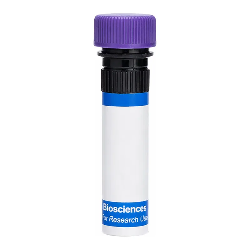 BD RB744 Mouse Anti-Human BLTR-1 (Leukotriene B4 Receptor)