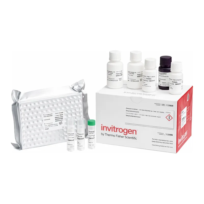 Thermo Fisher Scientific Human Periostin Rapid ELISA Kit