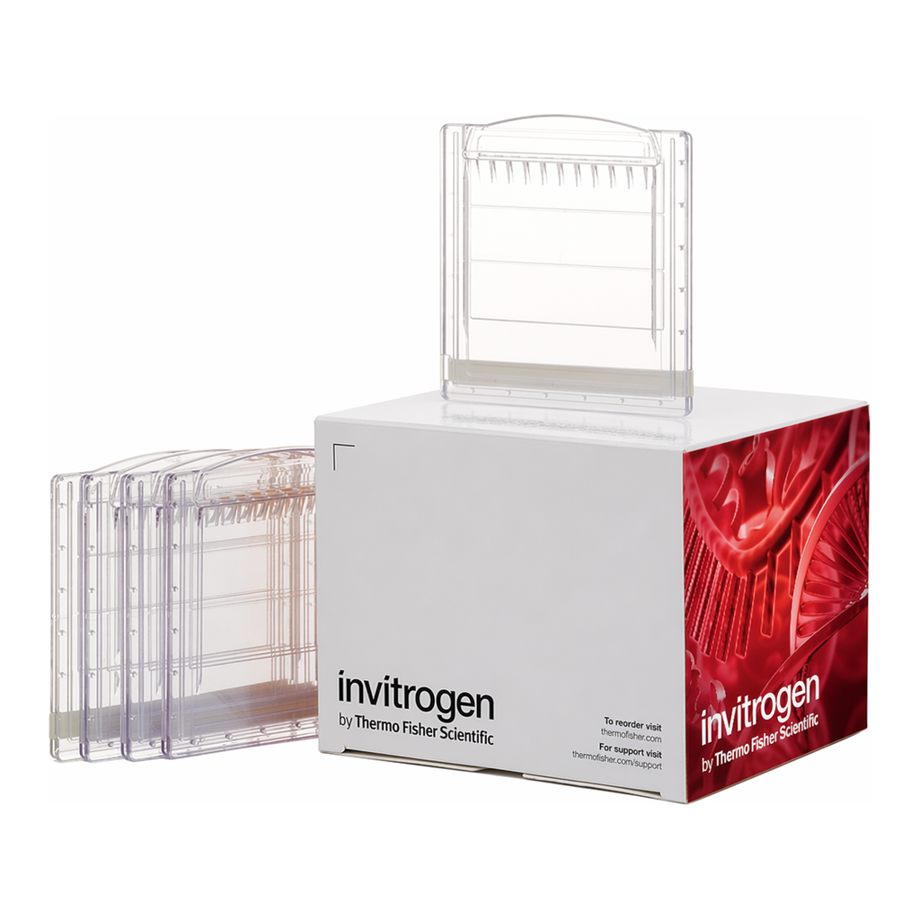 Thermo Fisher Scientific Novex Tris-Glycine Mini Protein Gels, 12%, 1.0 mm, WedgeWell format, 10 gels (1 box)