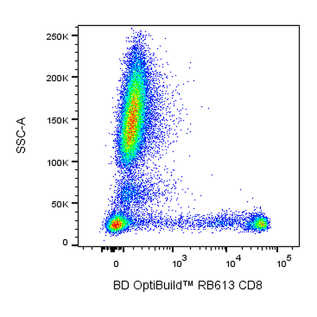 BD RB613 Mouse Anti-Human CD8