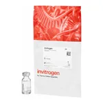 Thermo Fisher Scientific FluoSpheres Polystyrene Microspheres, 15 μm, scarlet fluorescent (645/680), for blood flow determination