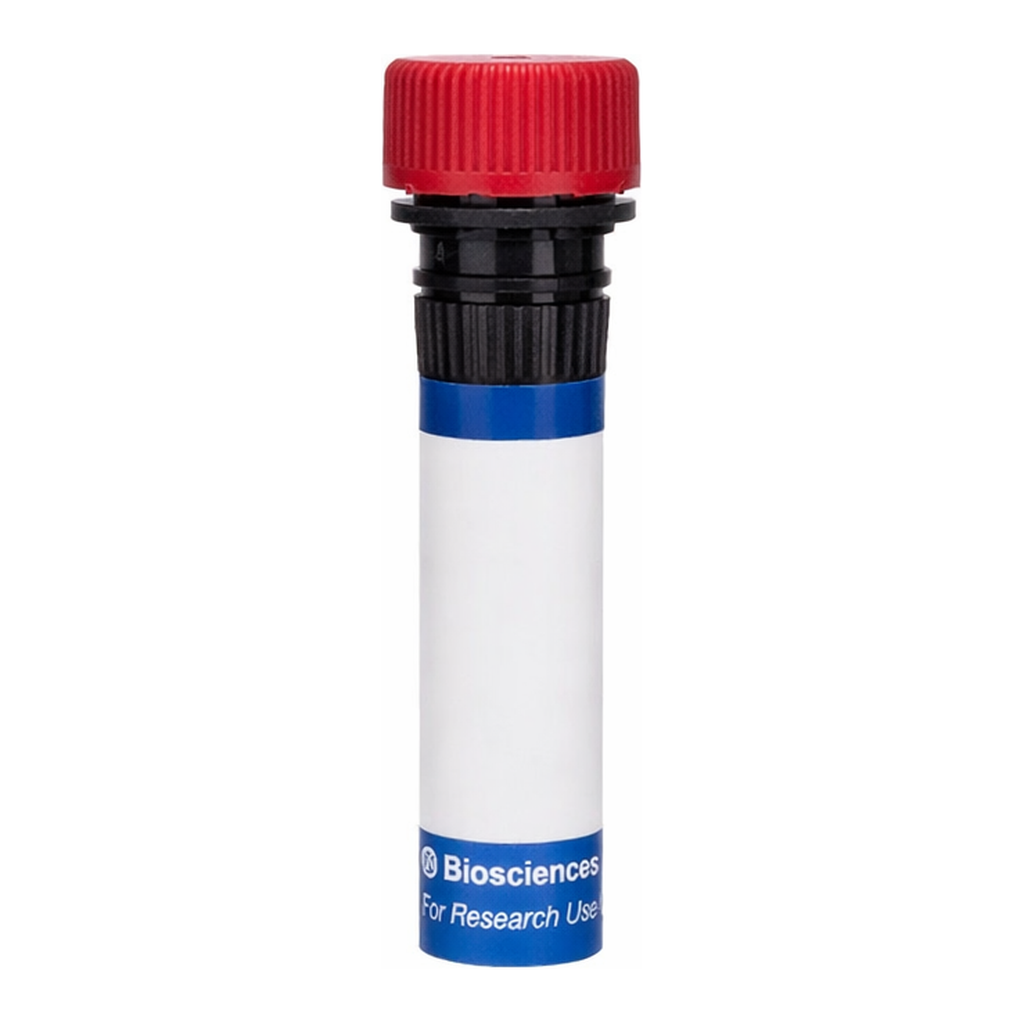 BD RB670 Rat Anti-Mouse CD115 (CSF-1 Receptor)