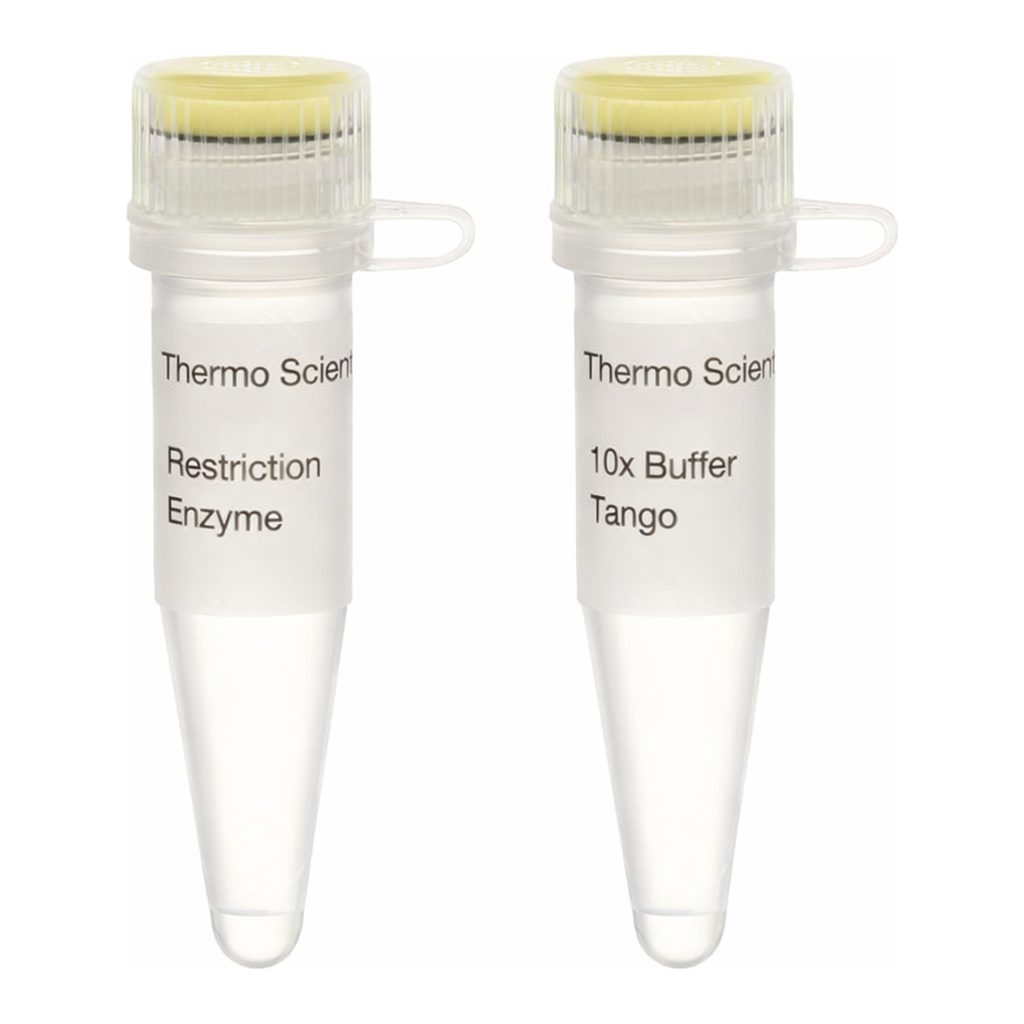 Thermo Fisher Scientific LguI (SapI) (5 U/&mu;L), 100 units