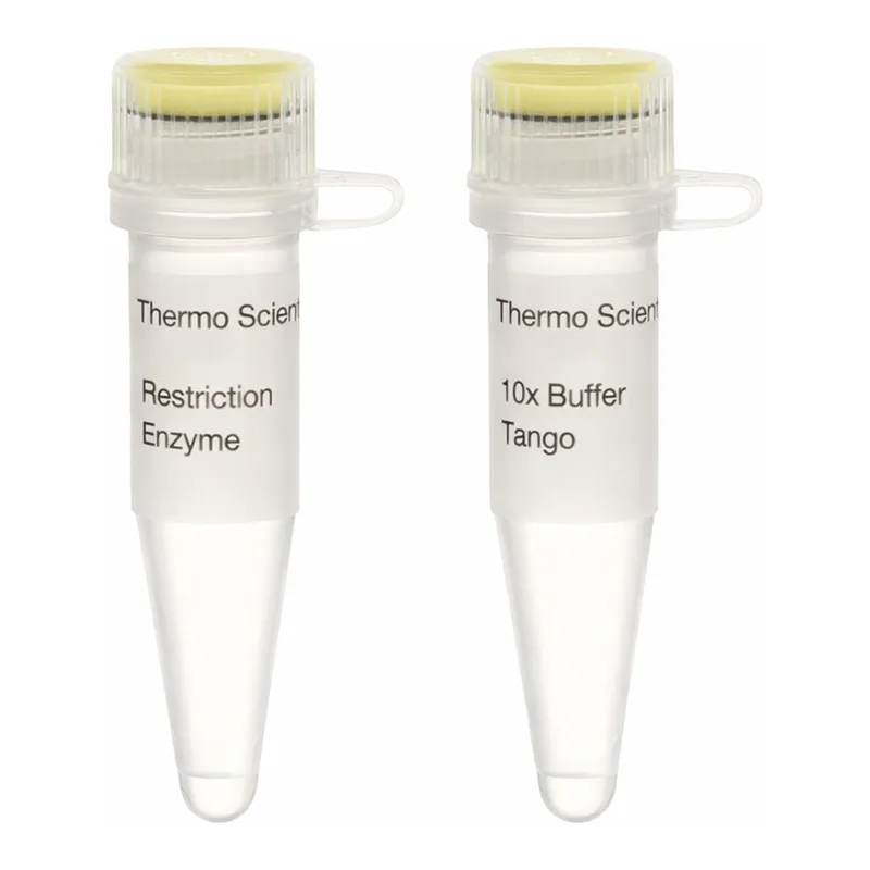 Thermo Fisher Scientific LguI (SapI) (5 U/μL), 100 units