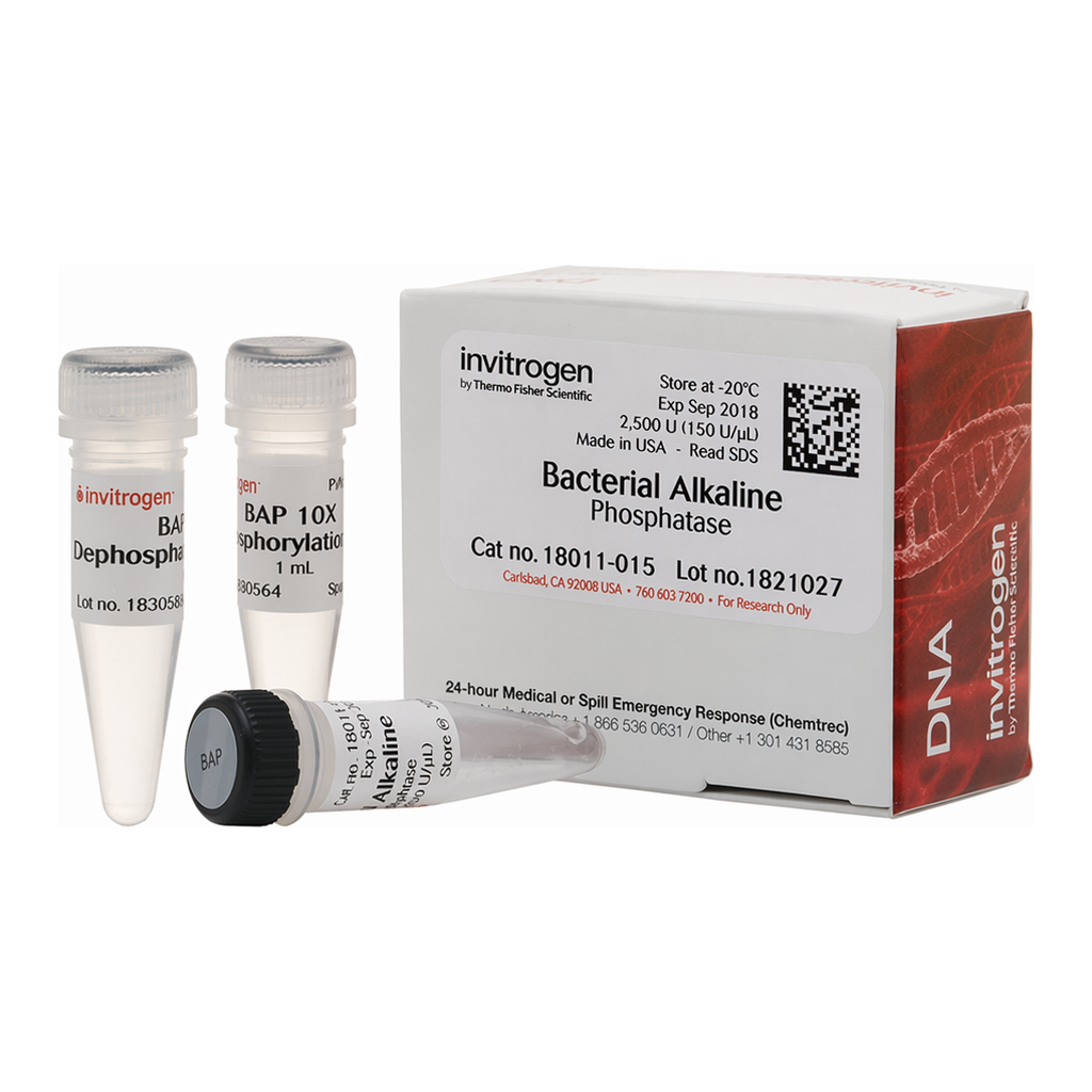 Thermo Fisher Scientific Bacterial Alkaline Phosphatase