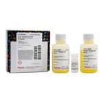 Thermo Fisher Scientific Pierce Quantitative Peroxide Assay Kit (Aqueous
