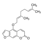 Merck Bergamottin