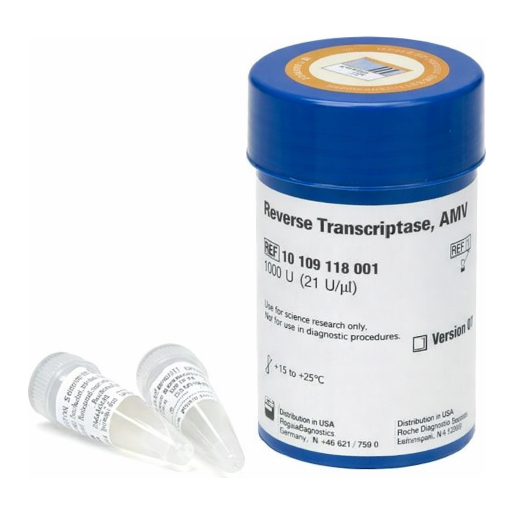 Merck Reverse Transcriptase AMV