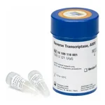 Merck Reverse Transcriptase AMV
