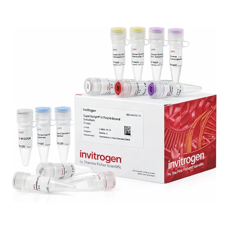 Thermo Fisher Scientific SuperScript IV First-Strand Synthesis System, Each