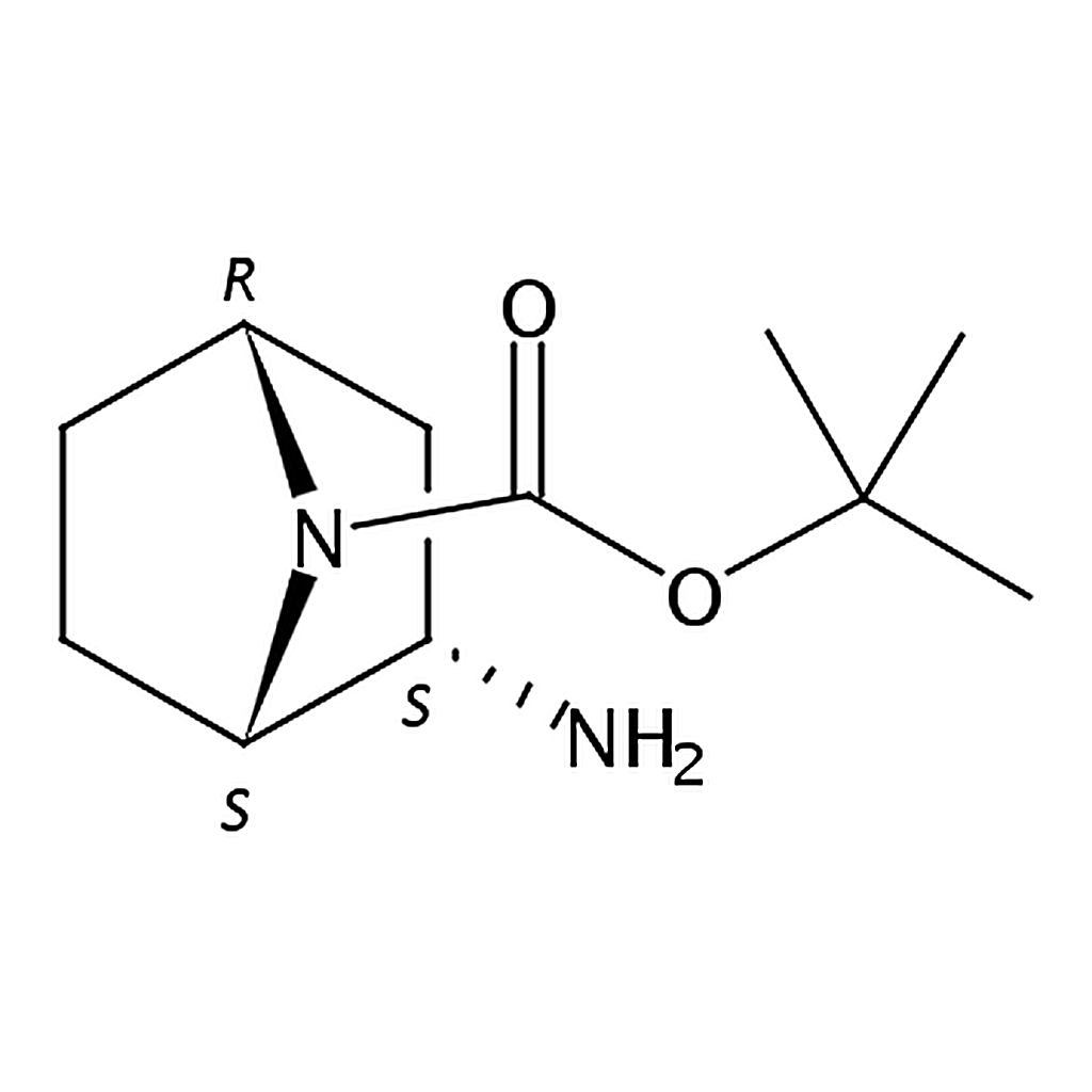 RHAWN (1S，2S，4R)-REL-2-AMINO-7-BOC-7-AZABICYCLO[2.2.1]HEPTANE
