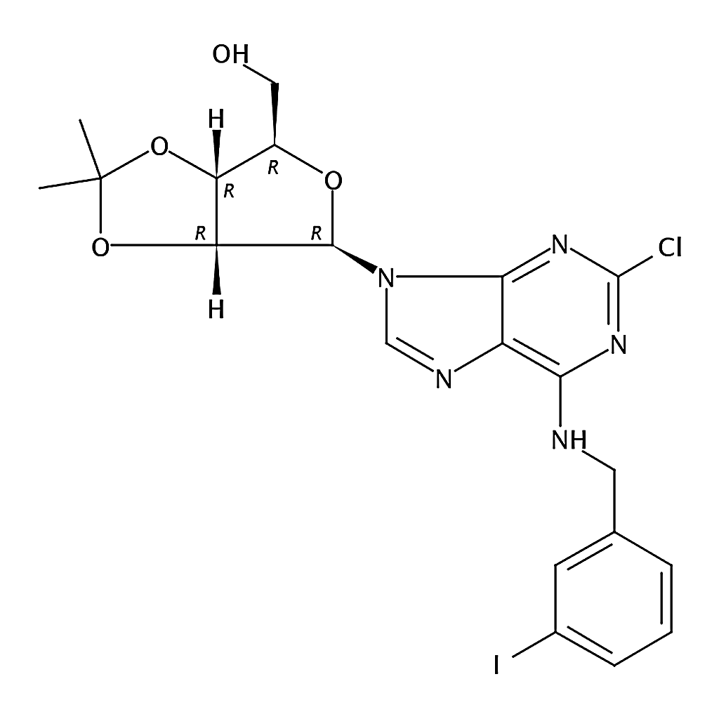 RHAWN 2-Chloro-N-[(3-iodophenyl)methyl]-2',3'-O-(1-methylethylidene) Adenosine