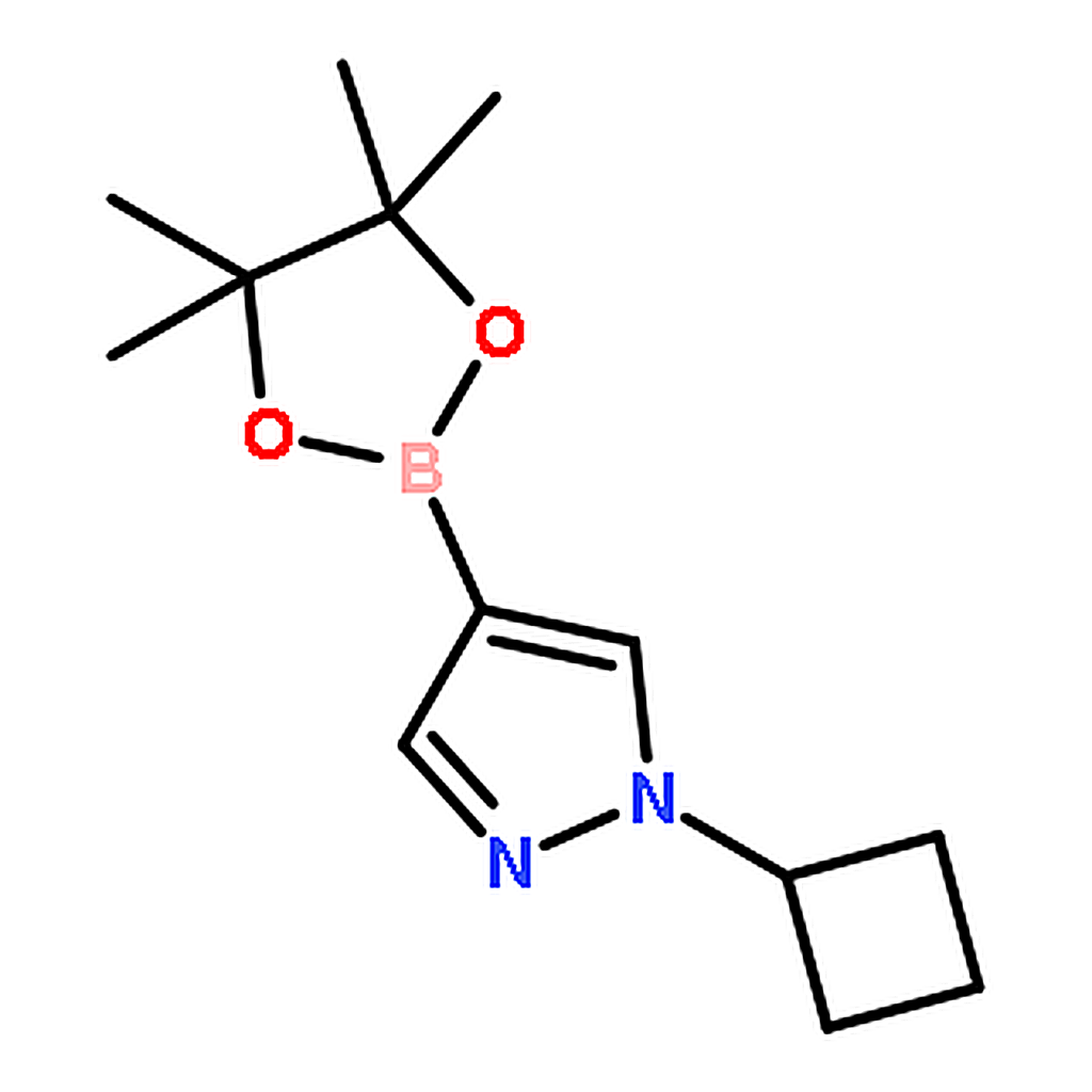 RHAWN 1-Cyclobutyl-4-(4，4，5，5-tetramethyl-1，3，2-dioxaborolan-2-yl)-1H-pyrazole
