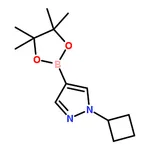 RHAWN 1-Cyclobutyl-4-(4,4,5,5-tetramethyl-1,3,2-dioxaborolan-2-yl)-1H-pyrazole