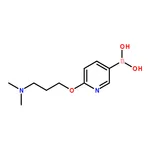 RHAWN (6-(3-(Dimethylamino)propoxy)pyridin-3-yl)boronic acid