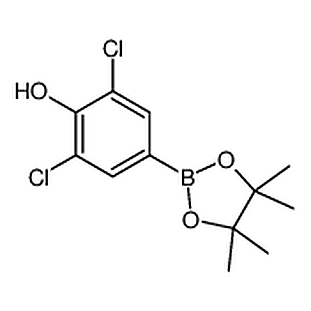 RHAWN 2,6-Dichloro-4-(4,4,5,5-tetramethyl-1,3,2-dioxaborolan-2-yl)phenol