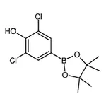 RHAWN 2,6-Dichloro-4-(4,4,5,5-tetramethyl-1,3,2-dioxaborolan-2-yl)phenol