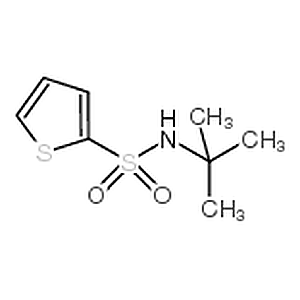 RHAWN N-tert-Butyl-2-thiophenesulfonamide