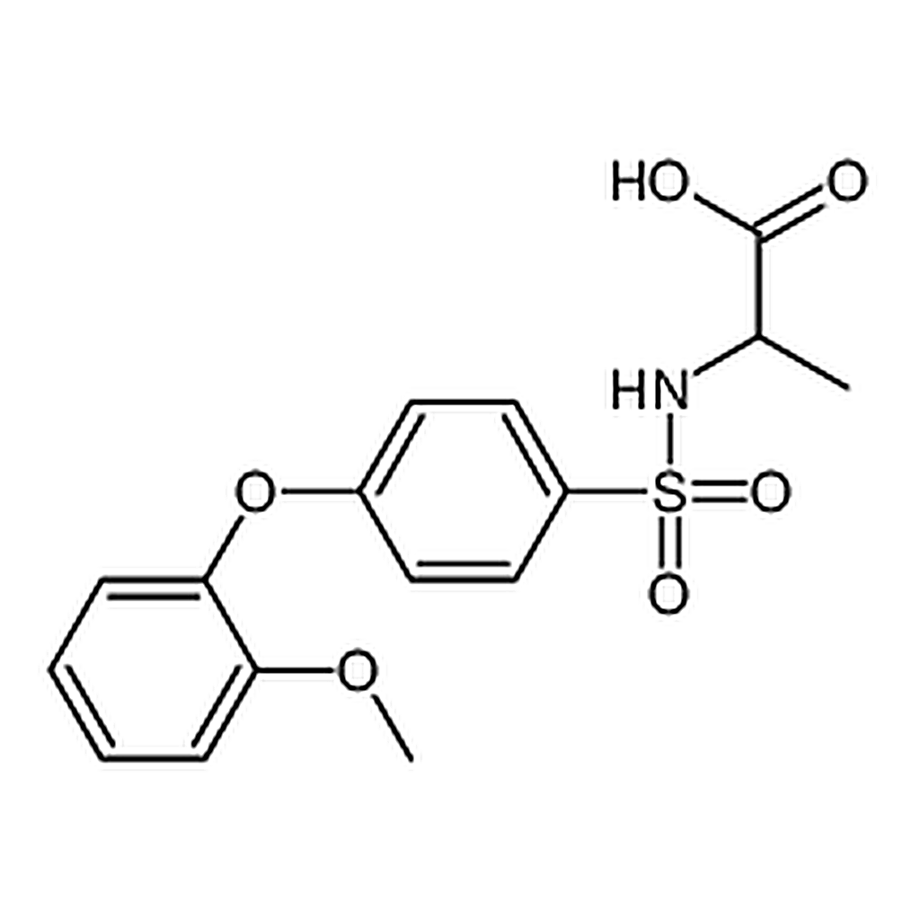 RHAWN N-[4-(2-Methoxyphenoxy)phenylsulfonyl]-DL-alanine，96%