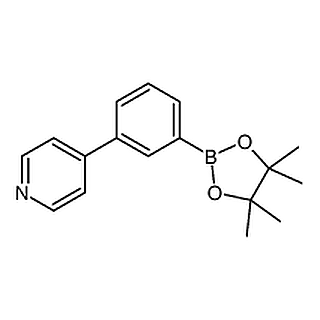 RHAWN 4-[3-(4，4，5，5-Tetramethyl-1，3，2-dioxaborolan-2-yl)phenyl]pyridine
